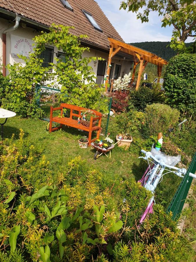 Apartment Da Elisa Rietheim-Weilheim Екстериор снимка